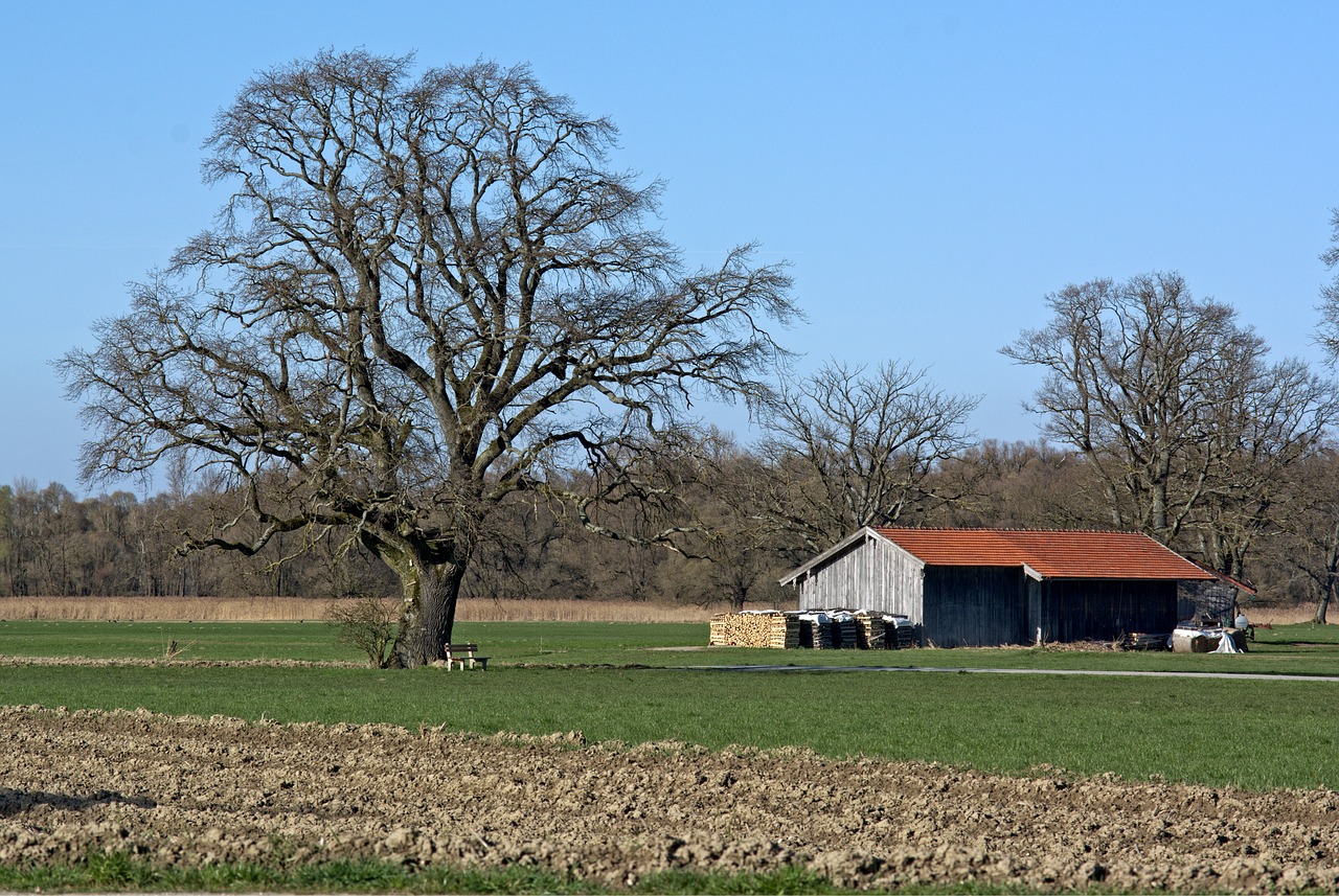 landscape nature chiemgau free photo