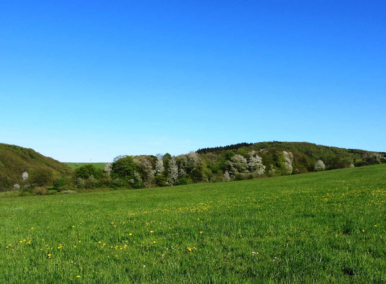 landscape nature meadow free photo