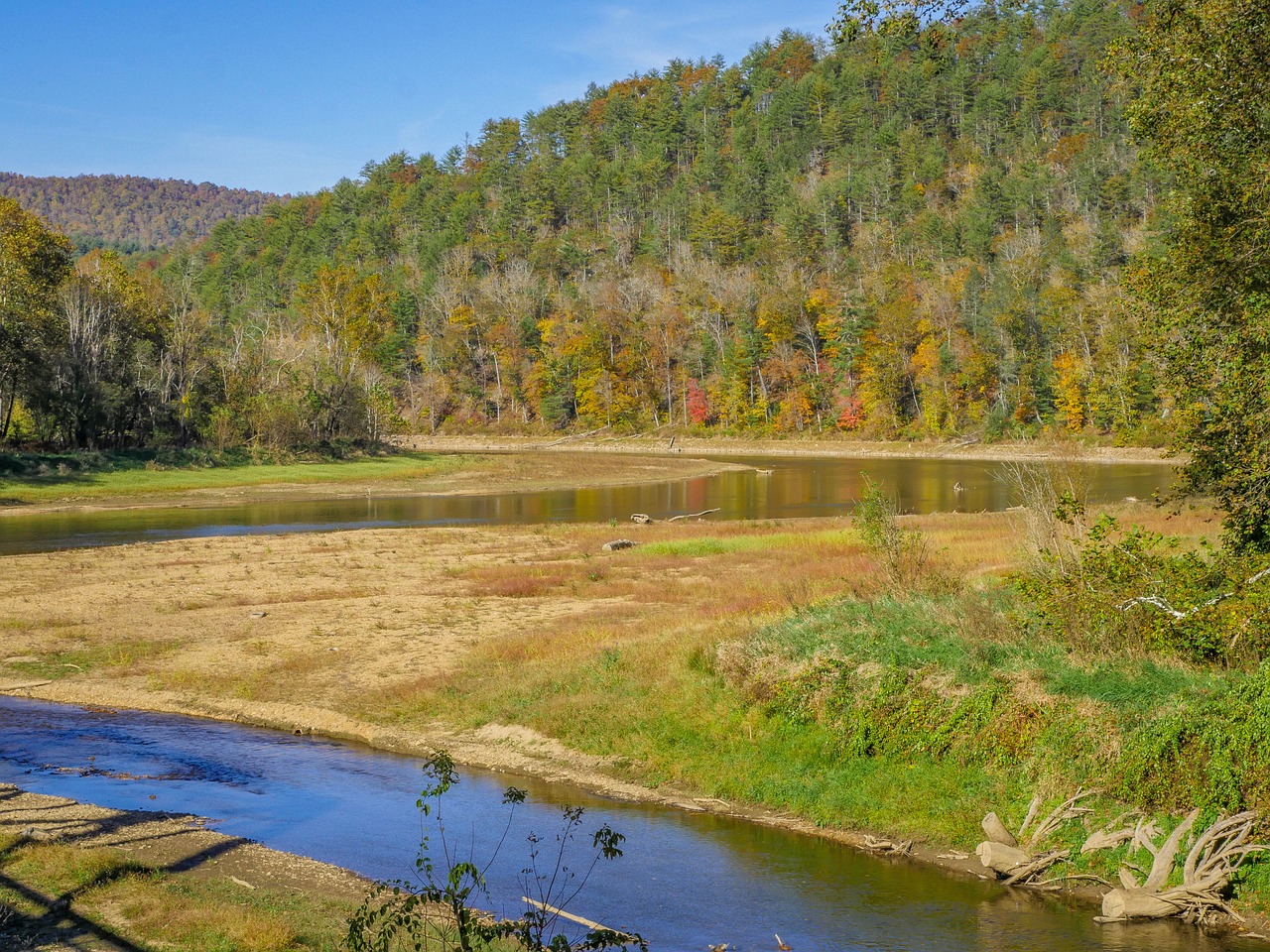 landscape river forest free photo