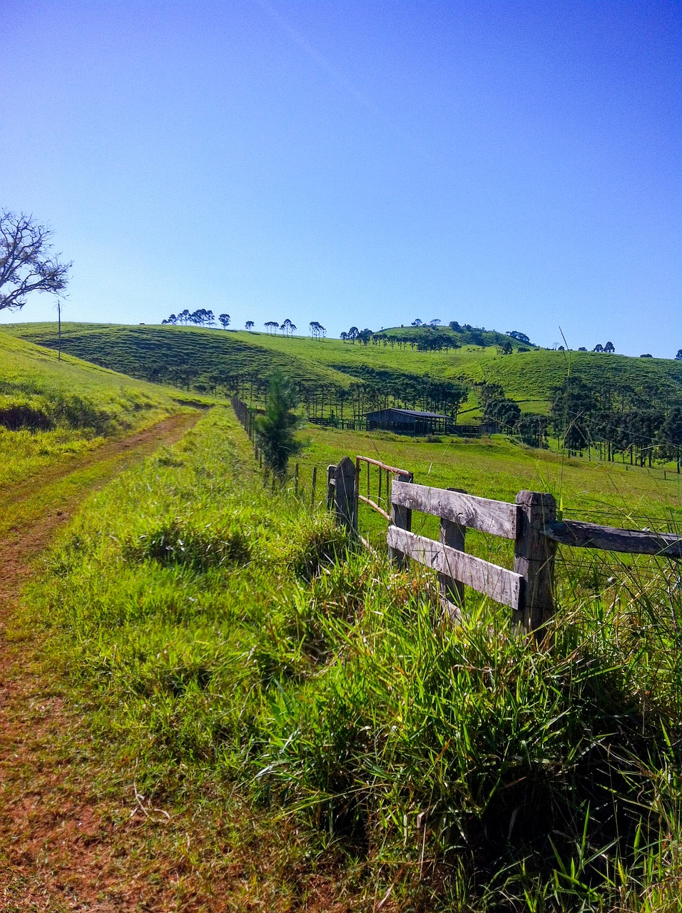 landscape about farm free photo