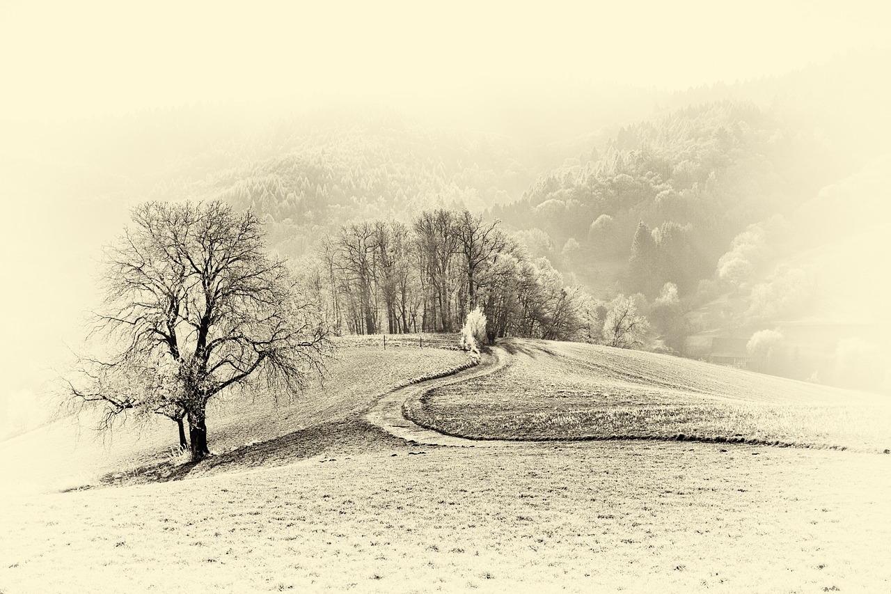 landscape monochrome black and white free photo