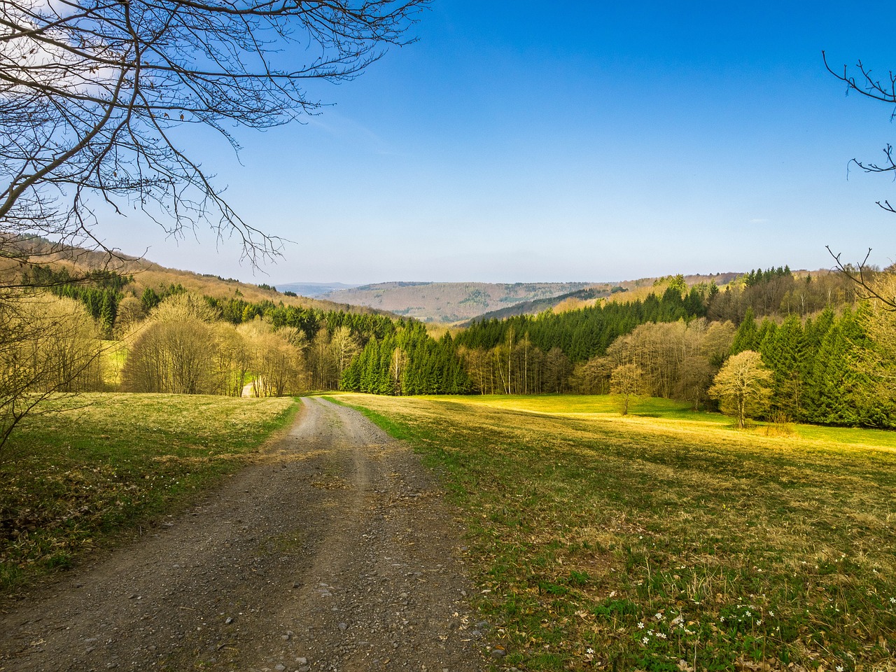 landscape away spring free photo