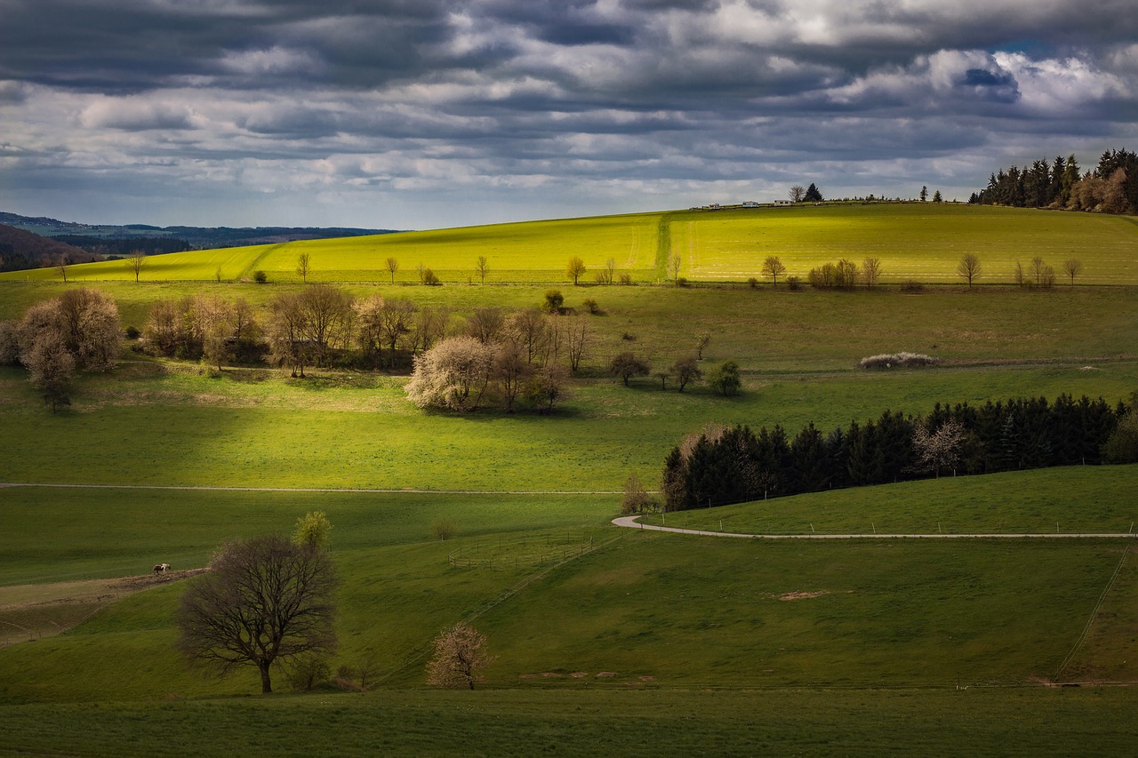 landscape eifel germany free photo