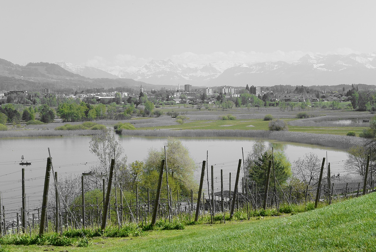 landscape lake pfäffikersee free photo