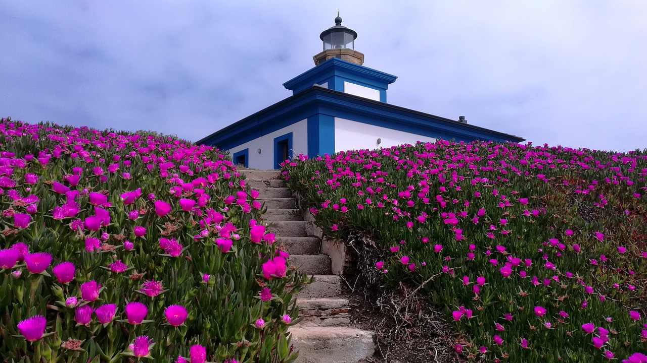 landscape lighthouse flowers free photo
