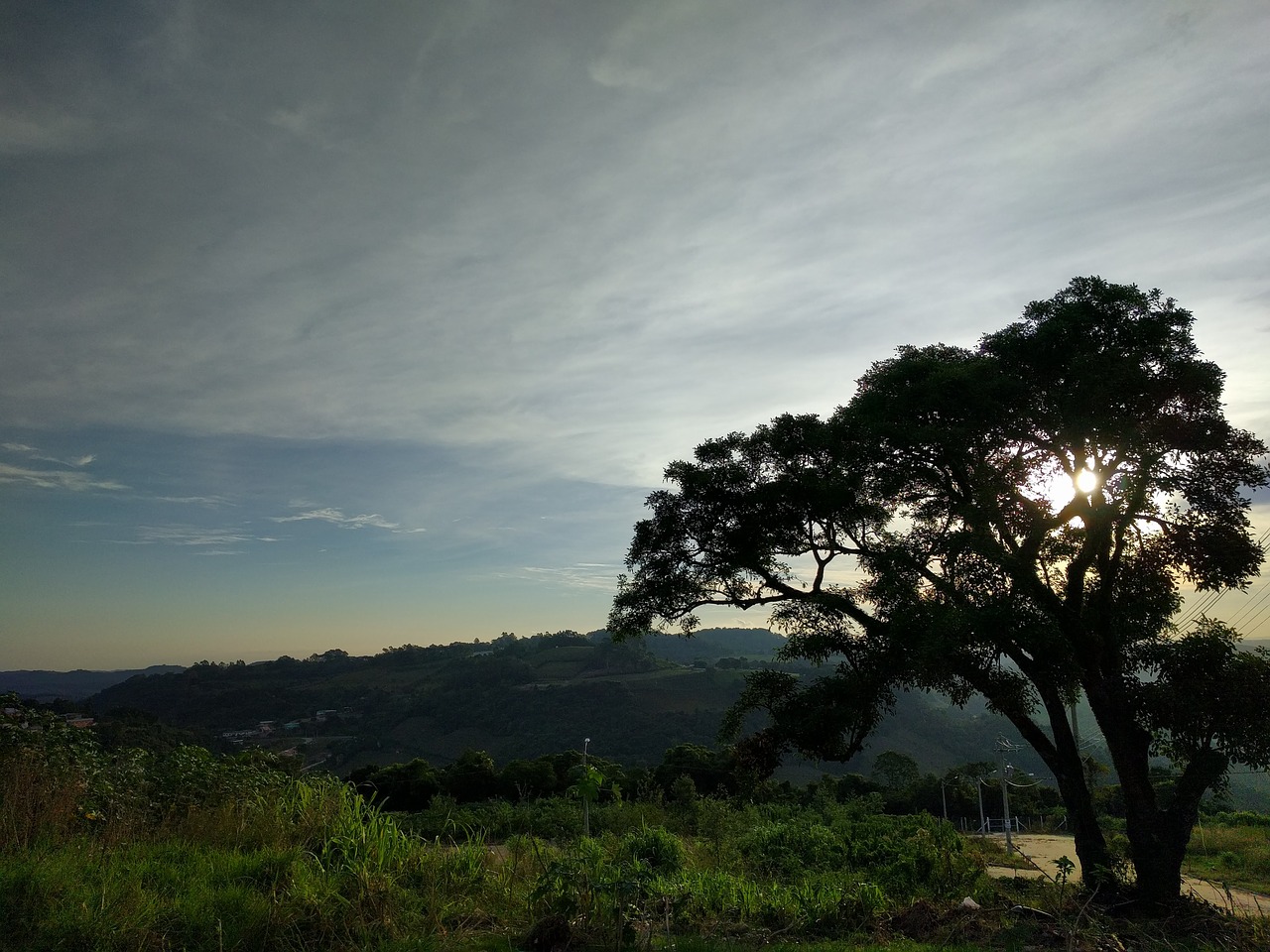 landscape sky tree free photo