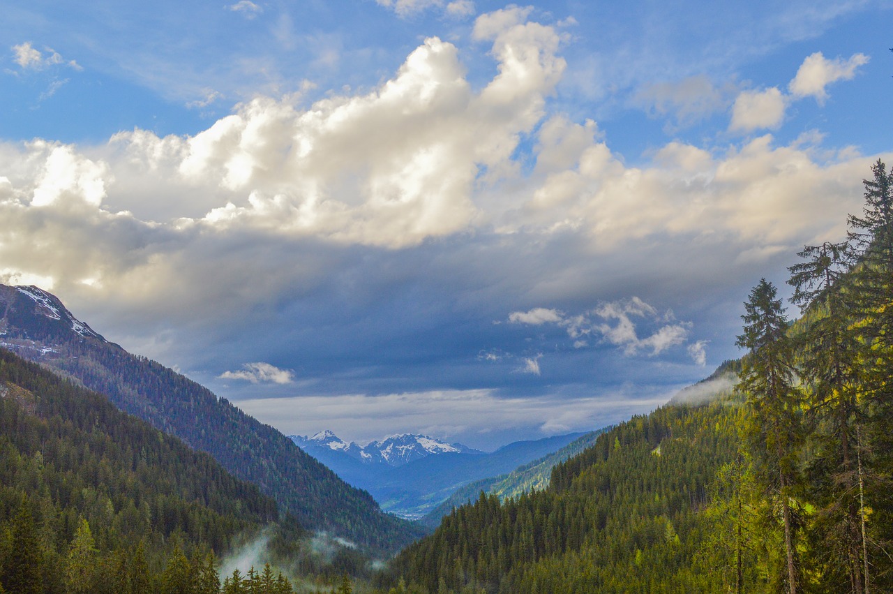 landscape forest clouds free photo