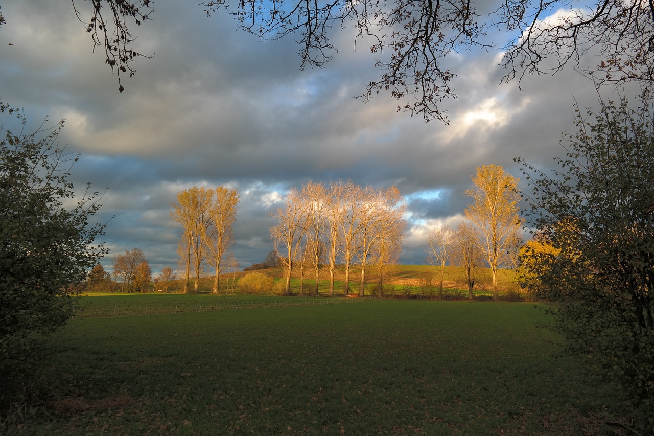 landscape nature autumn mood free photo