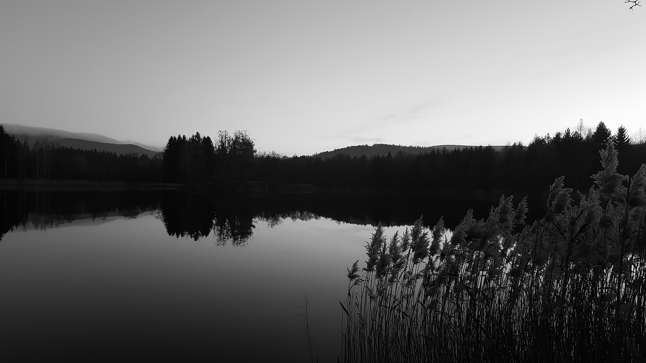 landscape water lake free photo