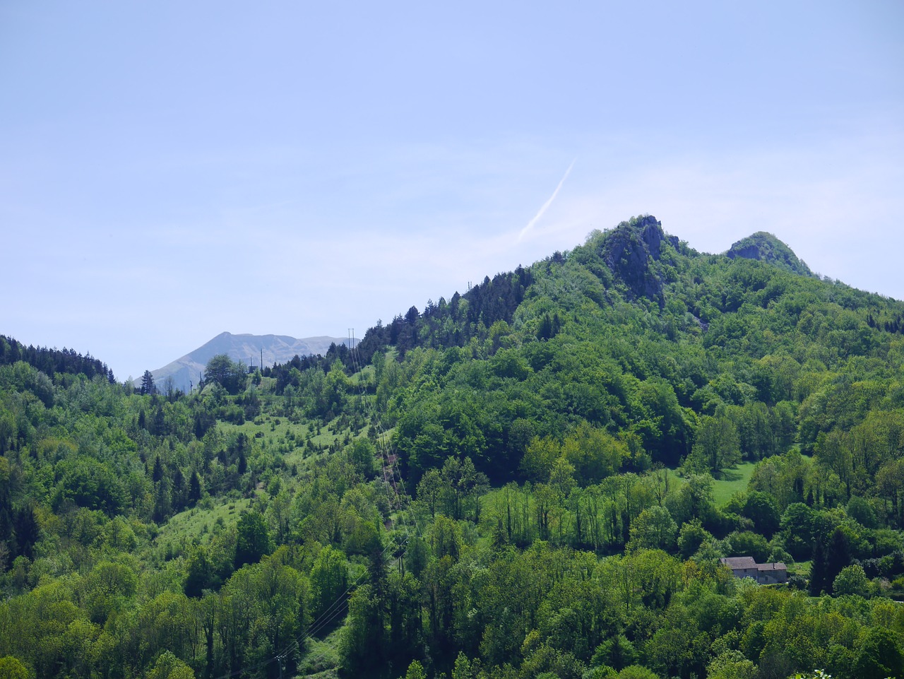 landscape forest mountain free photo