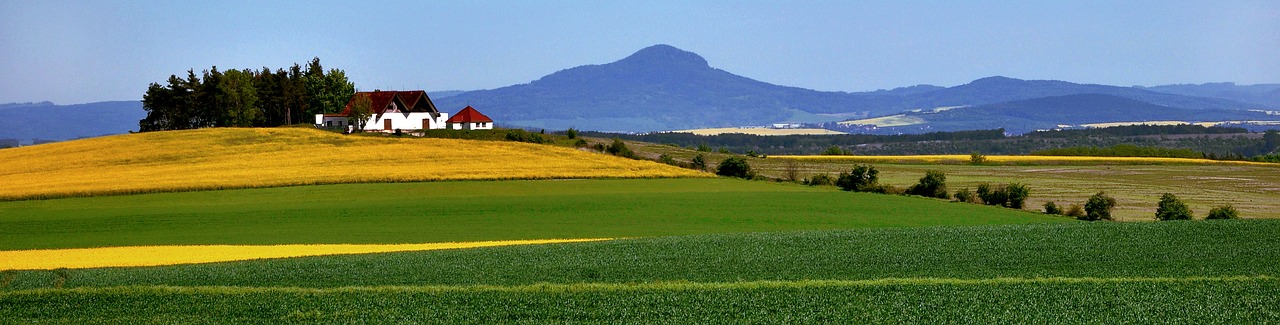 landscape rapeseed czech republic free photo