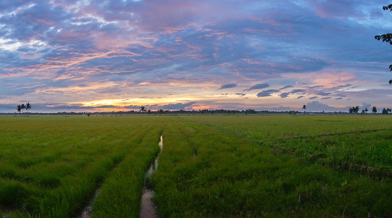 landscape sunset sky free photo