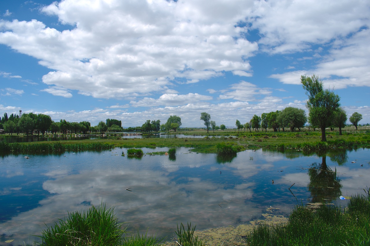 landscape reflection light free photo