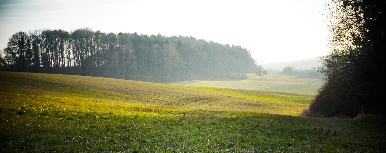 landscape green meadow free photo