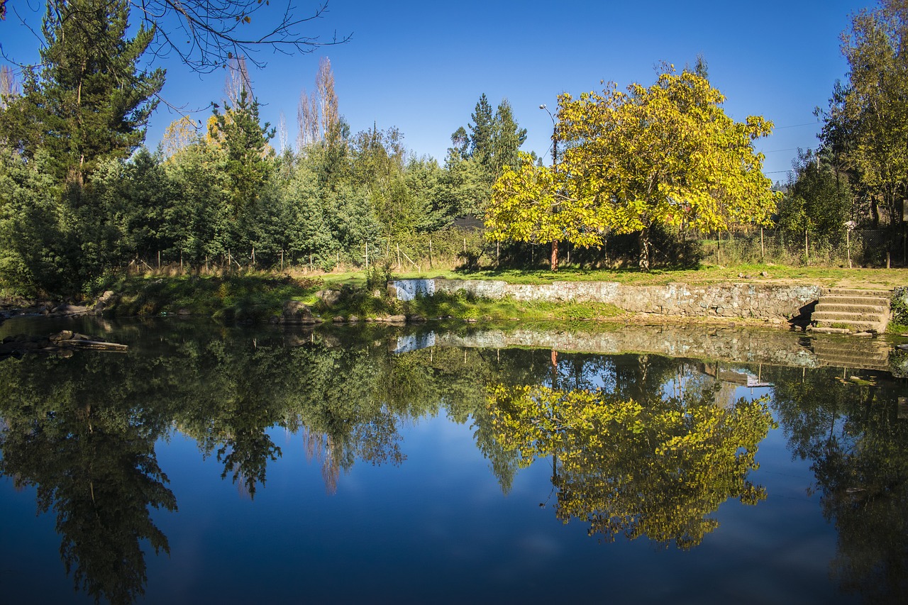 landscape happiness naturaleaz free photo