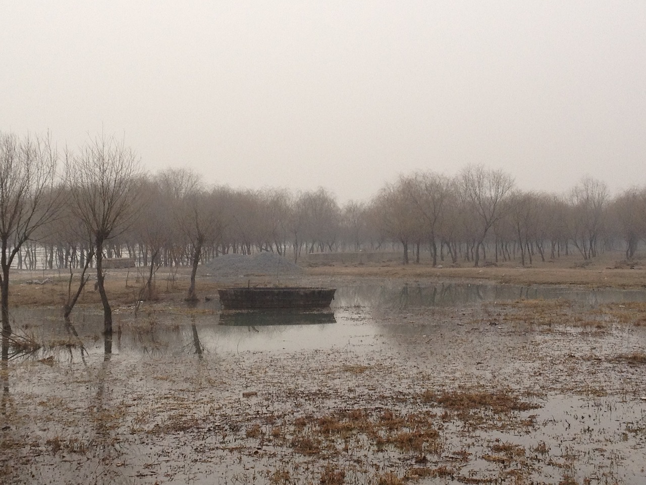 landscape swamp boat free photo