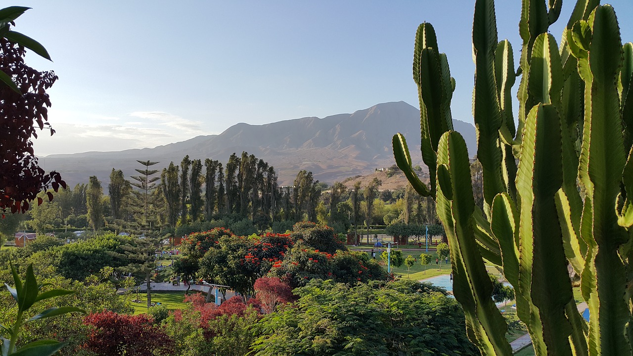 landscape moquegua peru free photo