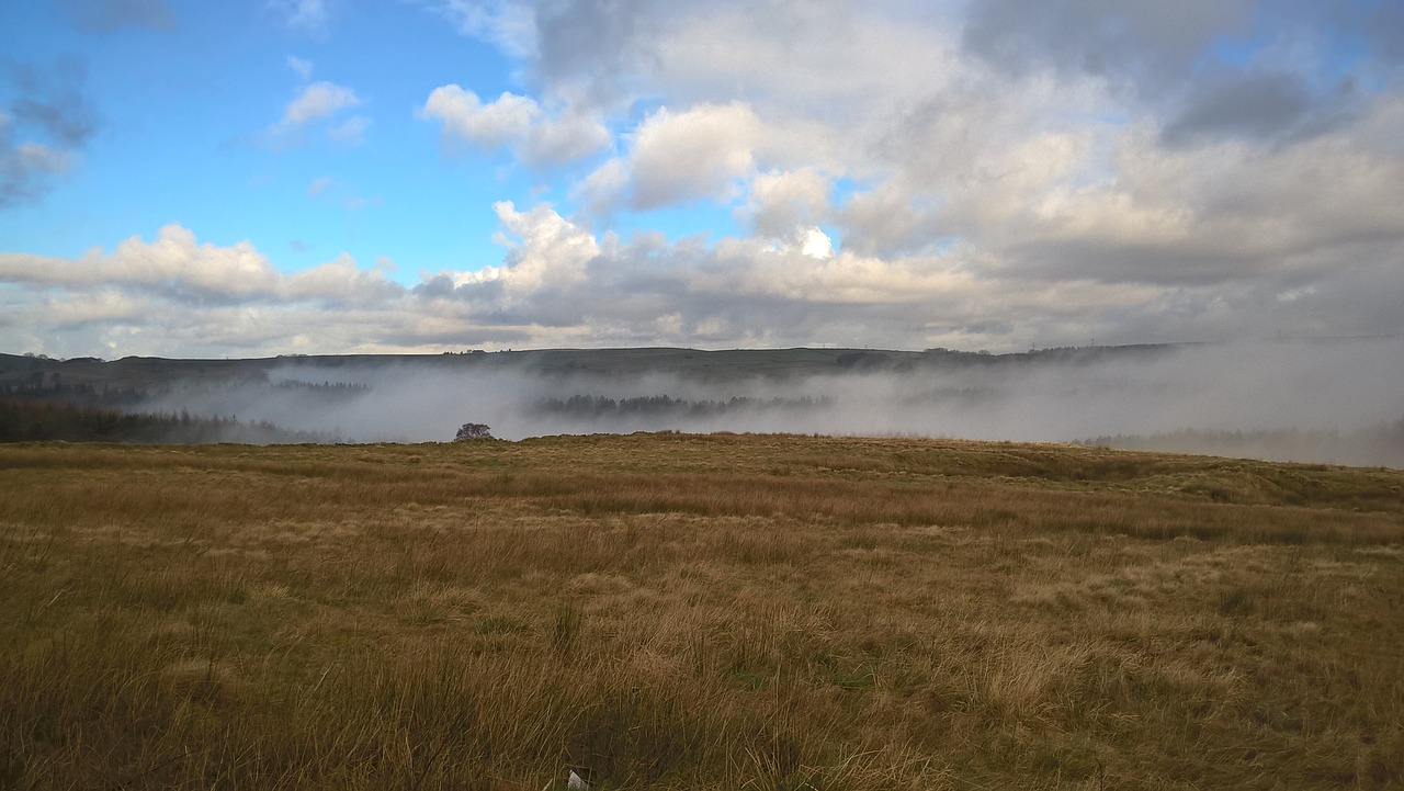 landscape mist moor free photo