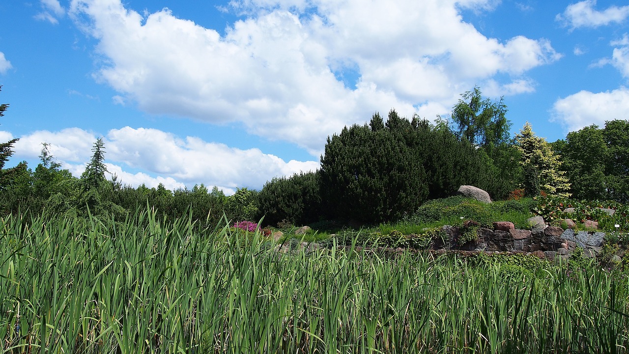 landscape nature cloud free photo