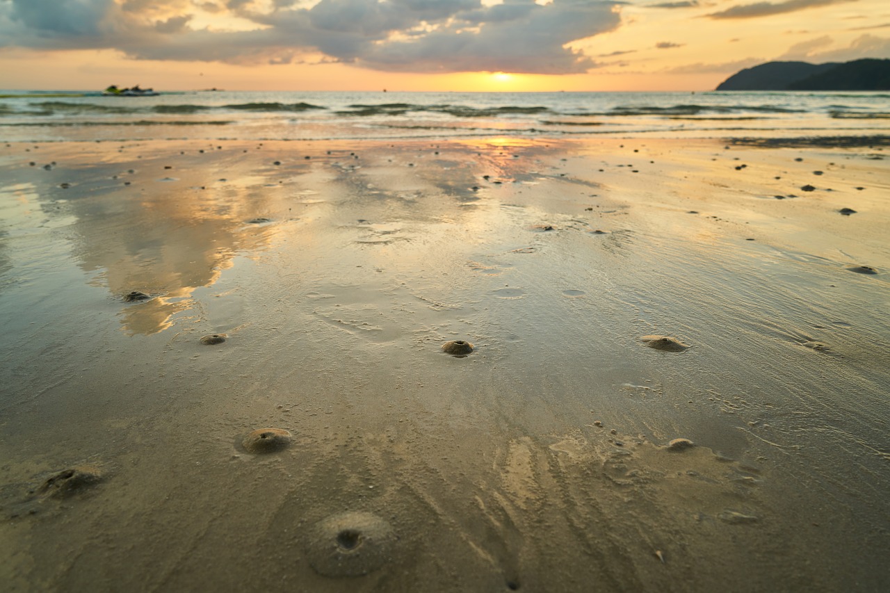 landscape beach marine free photo