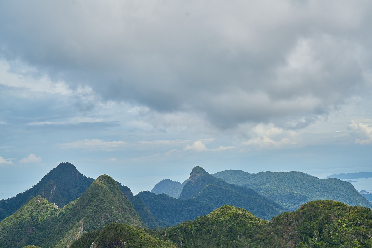 landscape green nature free photo