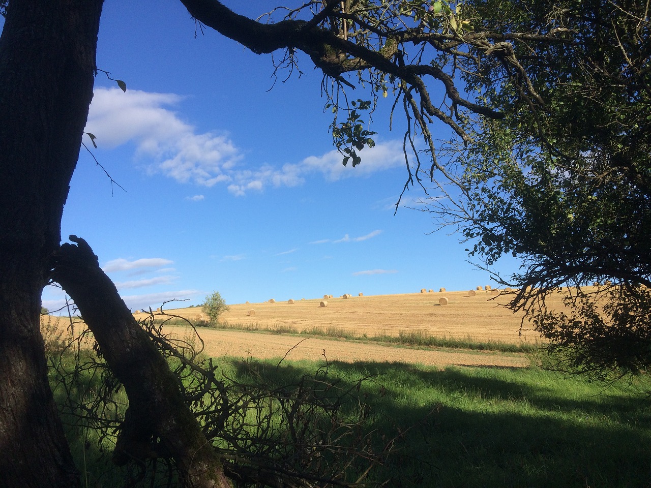 landscape country air agriculture free photo