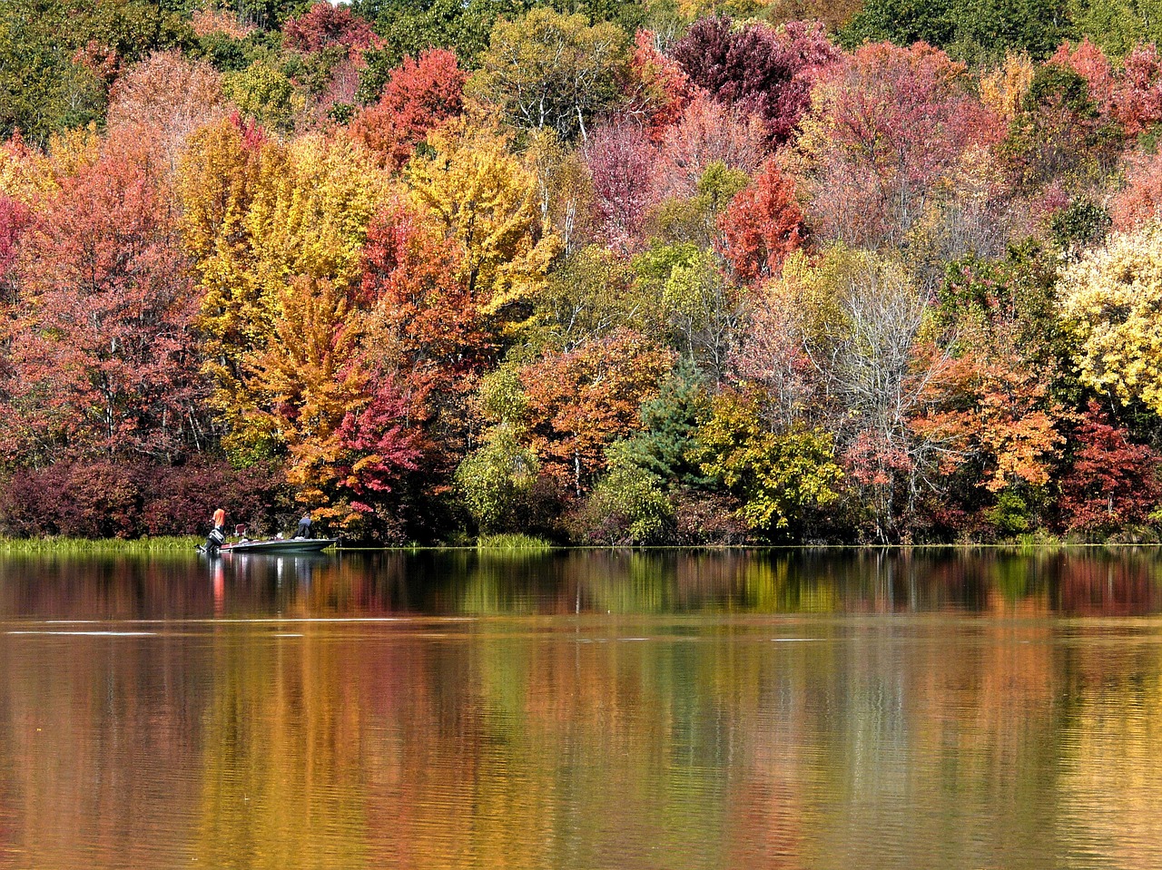 landscape lake water free photo