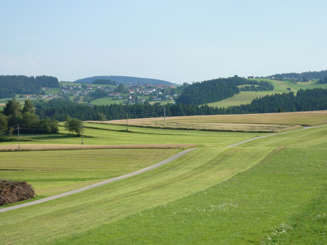 landscape meadow nature free photo