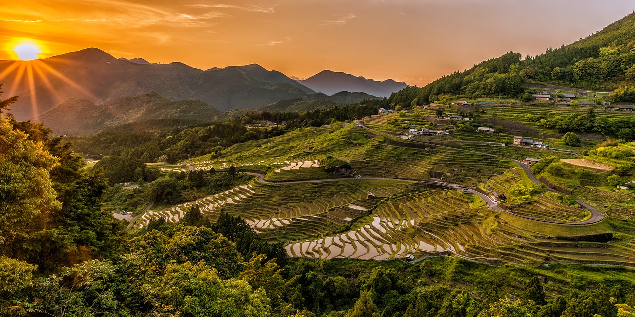 landscape sunset rice terraces free photo