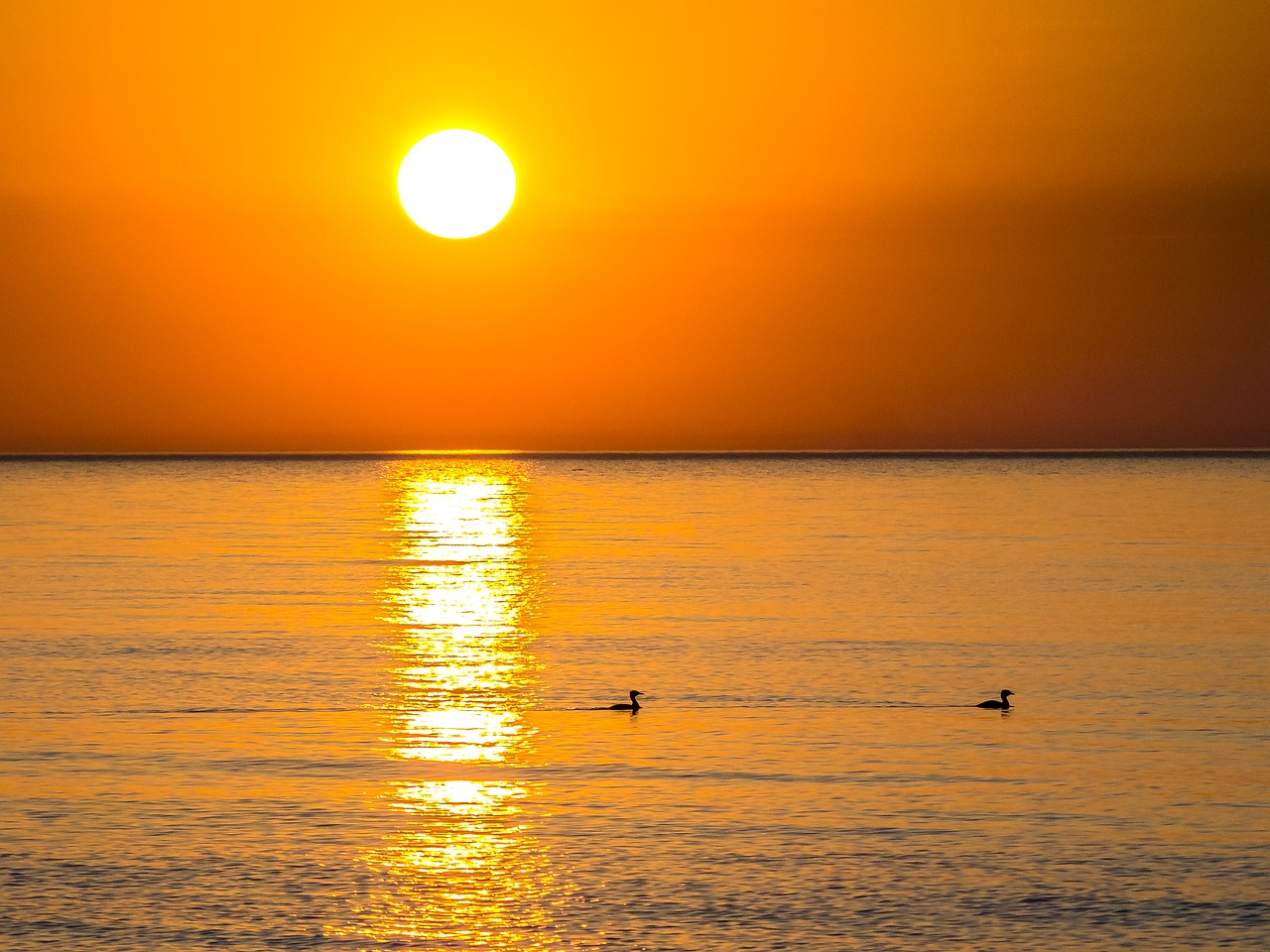 landscape sea sunset free photo