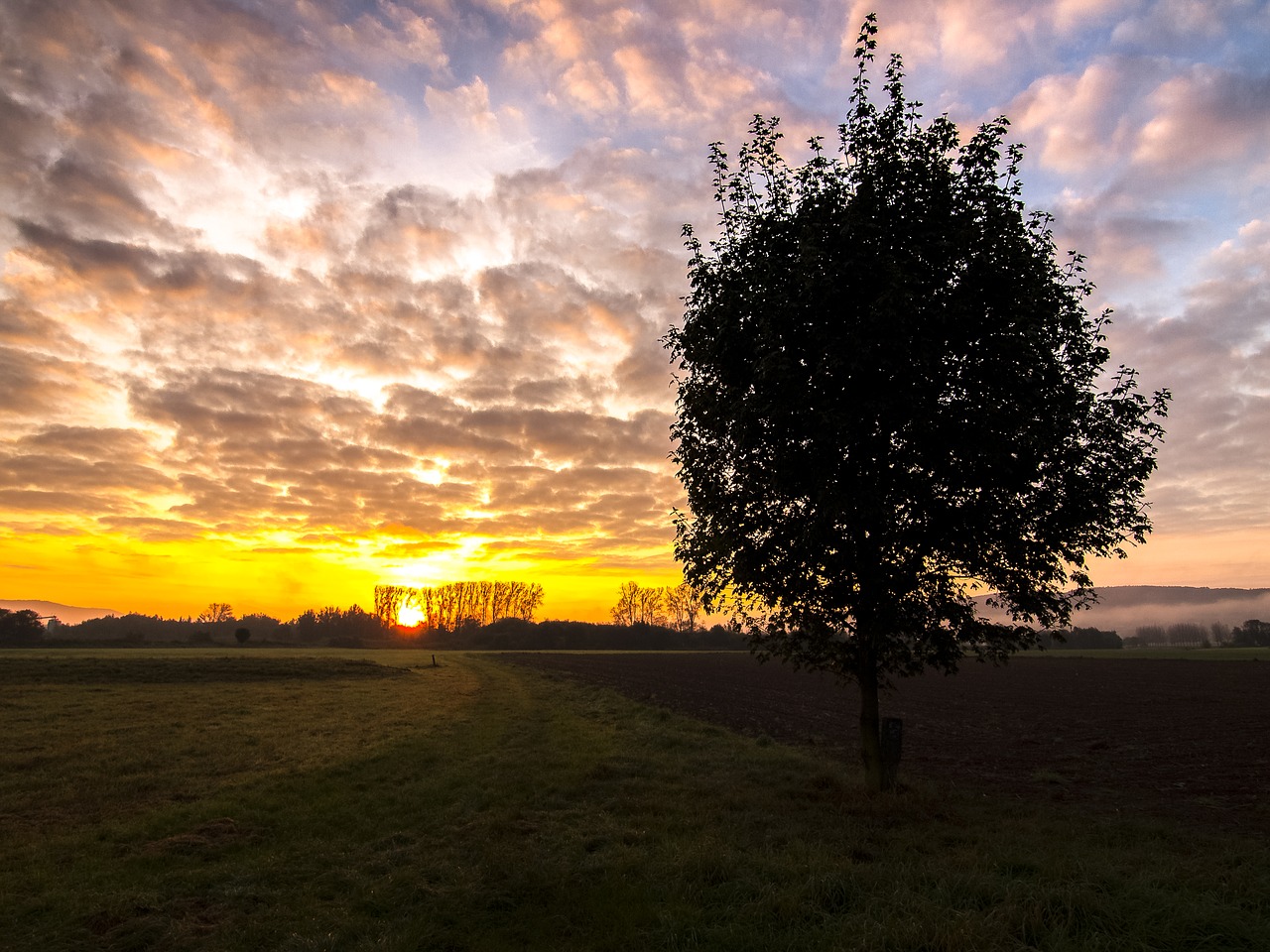 landscape sunrise tree free photo