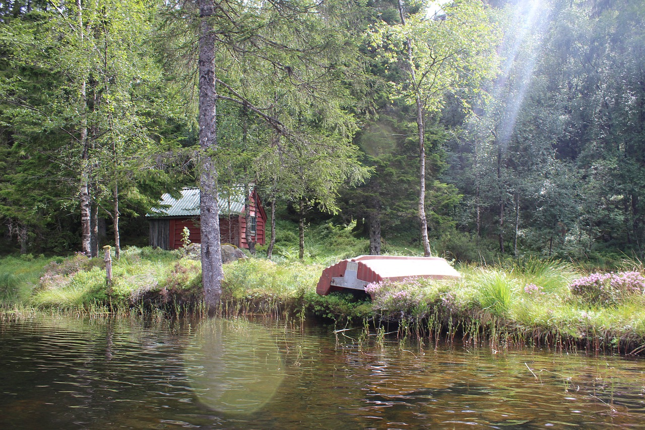 landscape lake norway free photo