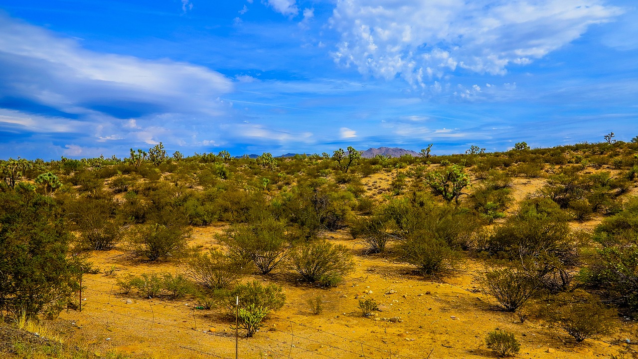 landscape az mountains free photo