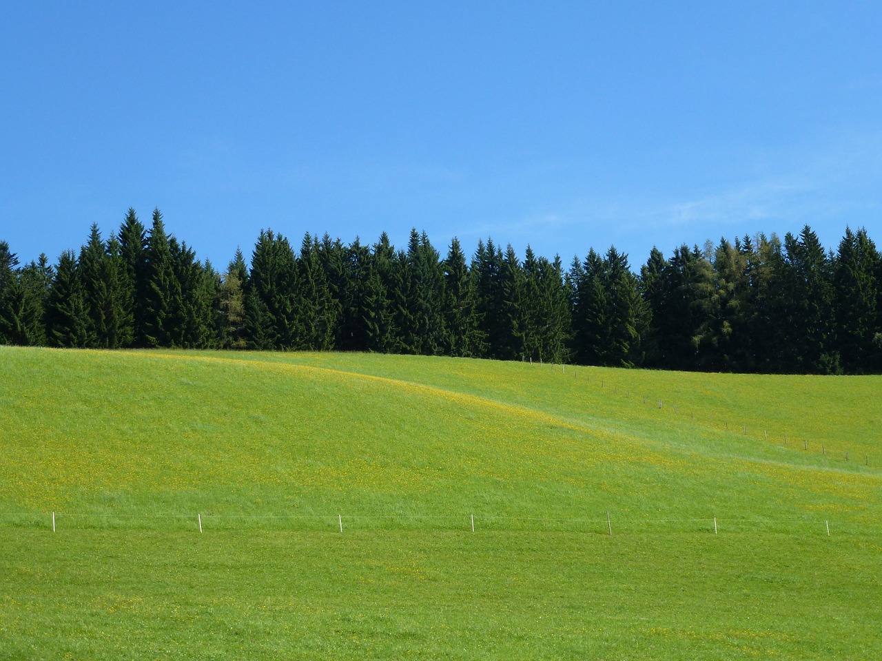 landscape green beautiful day free photo