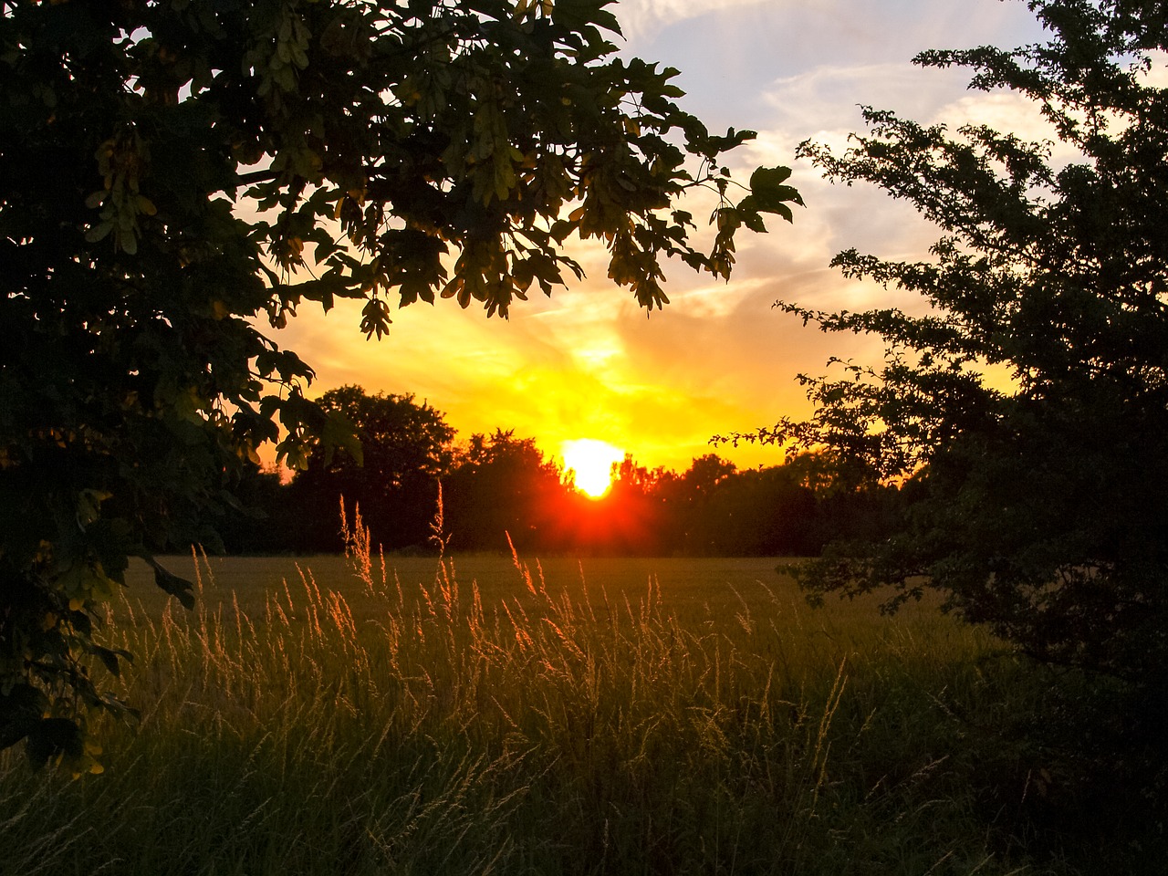 landscape sunset dusk free photo