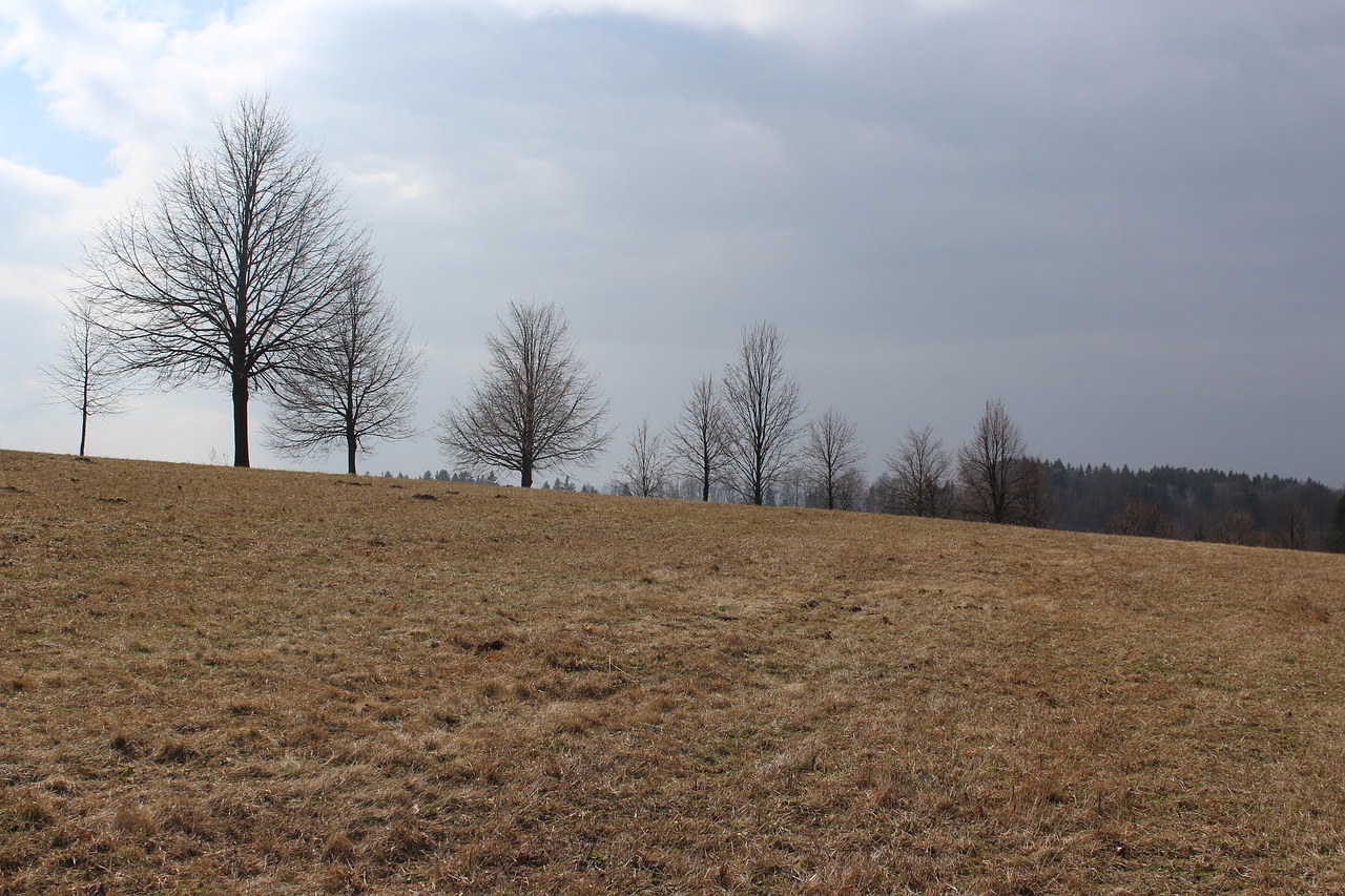 landscape clouds nature free photo