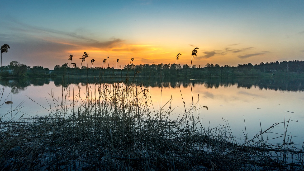 landscape pesochin evening free photo