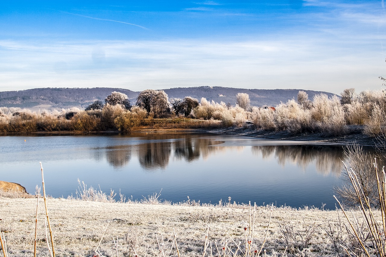 landscape pond nature free photo