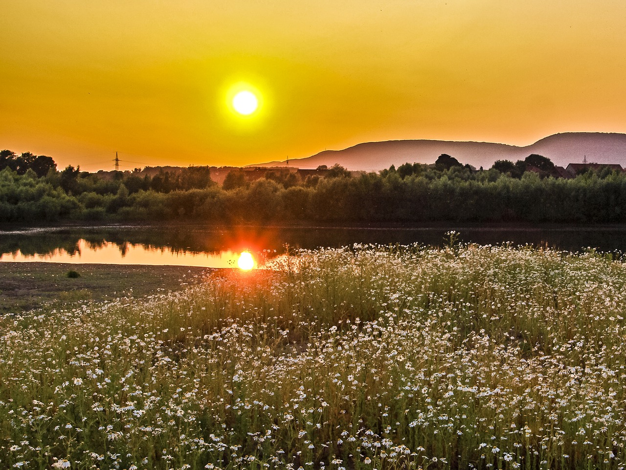 landscape pond twilight free photo