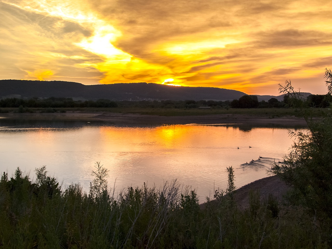 landscape pond twilight free photo