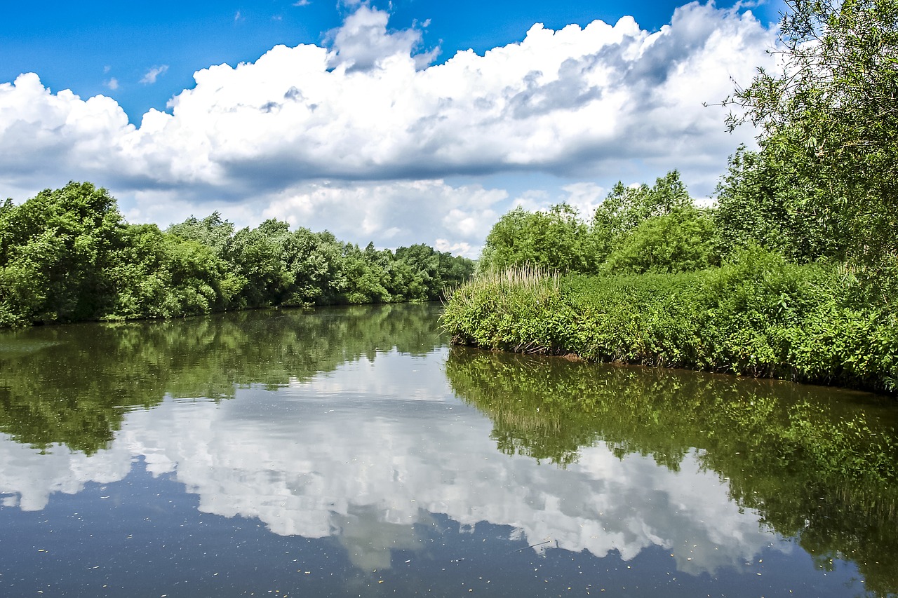 landscape pond nature free photo