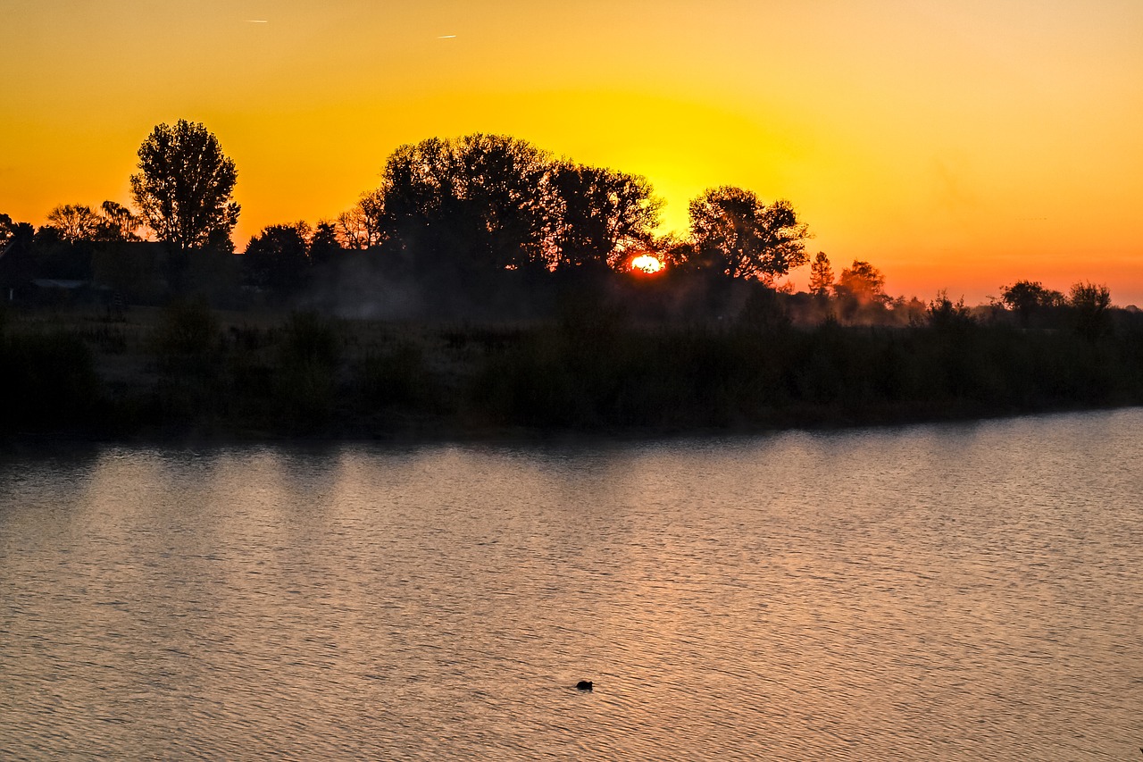 landscape pond sun free photo