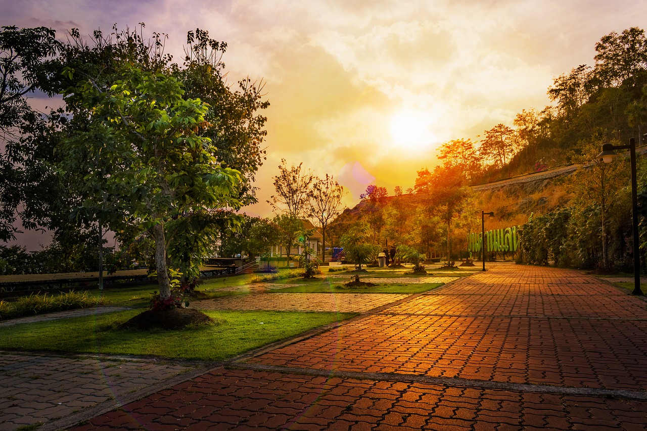 landscape sunset trees free photo