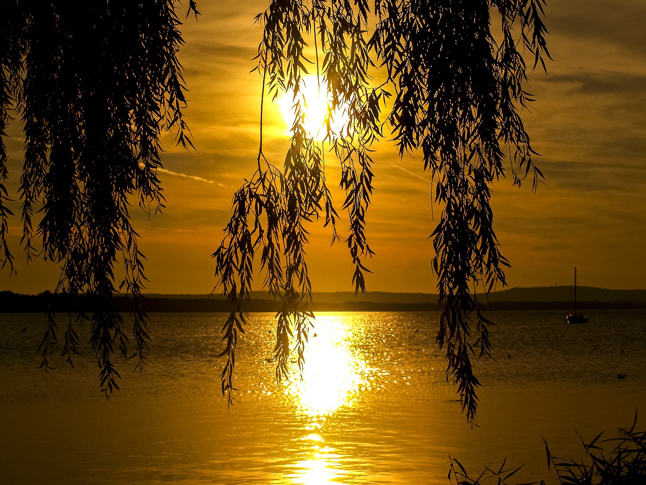 landscape water twilight free photo