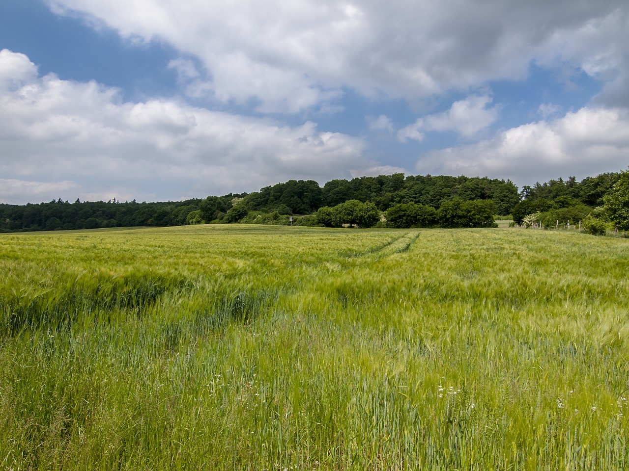 landscape field clouds free photo