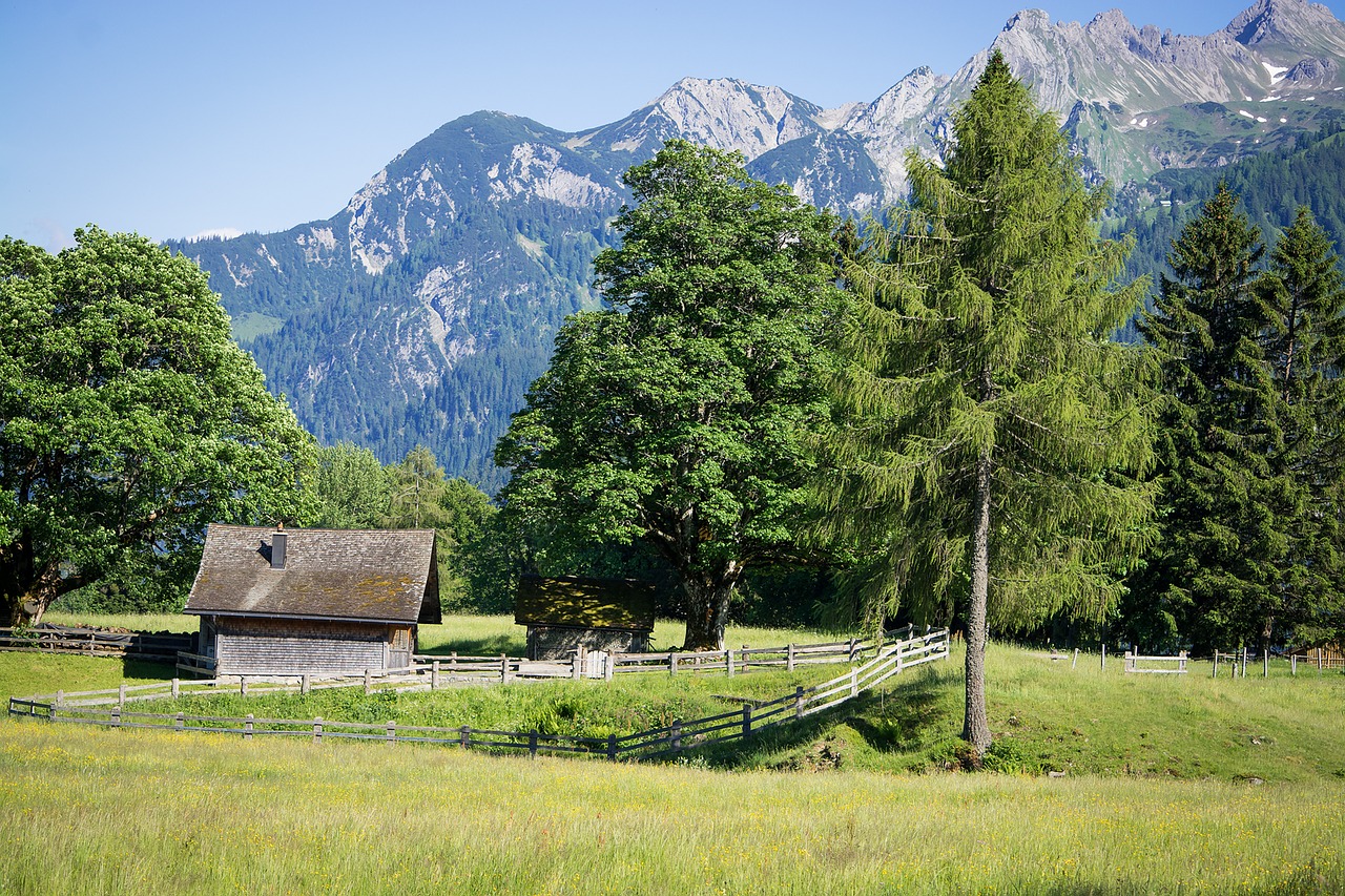 landscape nature outlook free photo