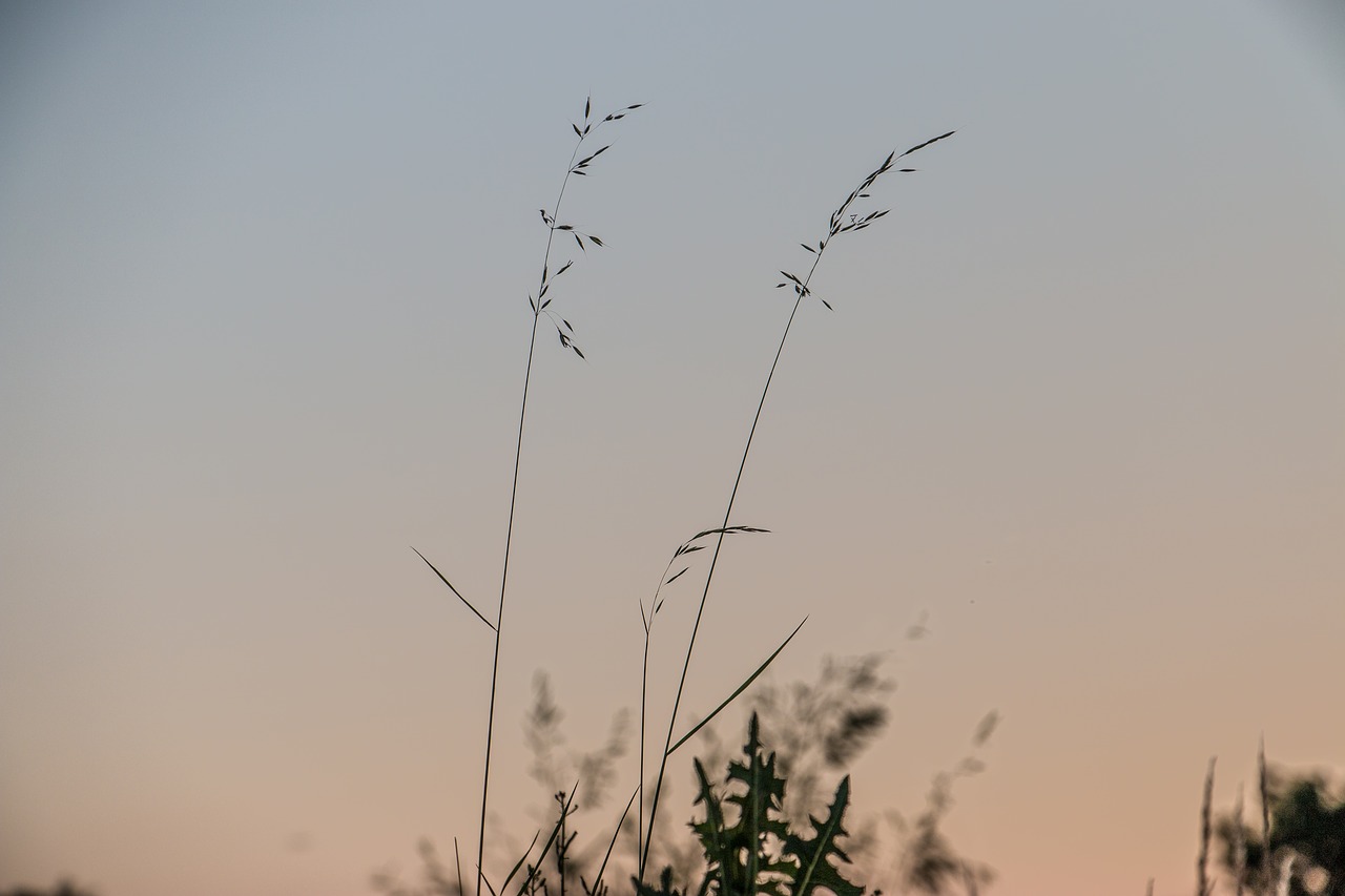 landscape sunrise sunset free photo