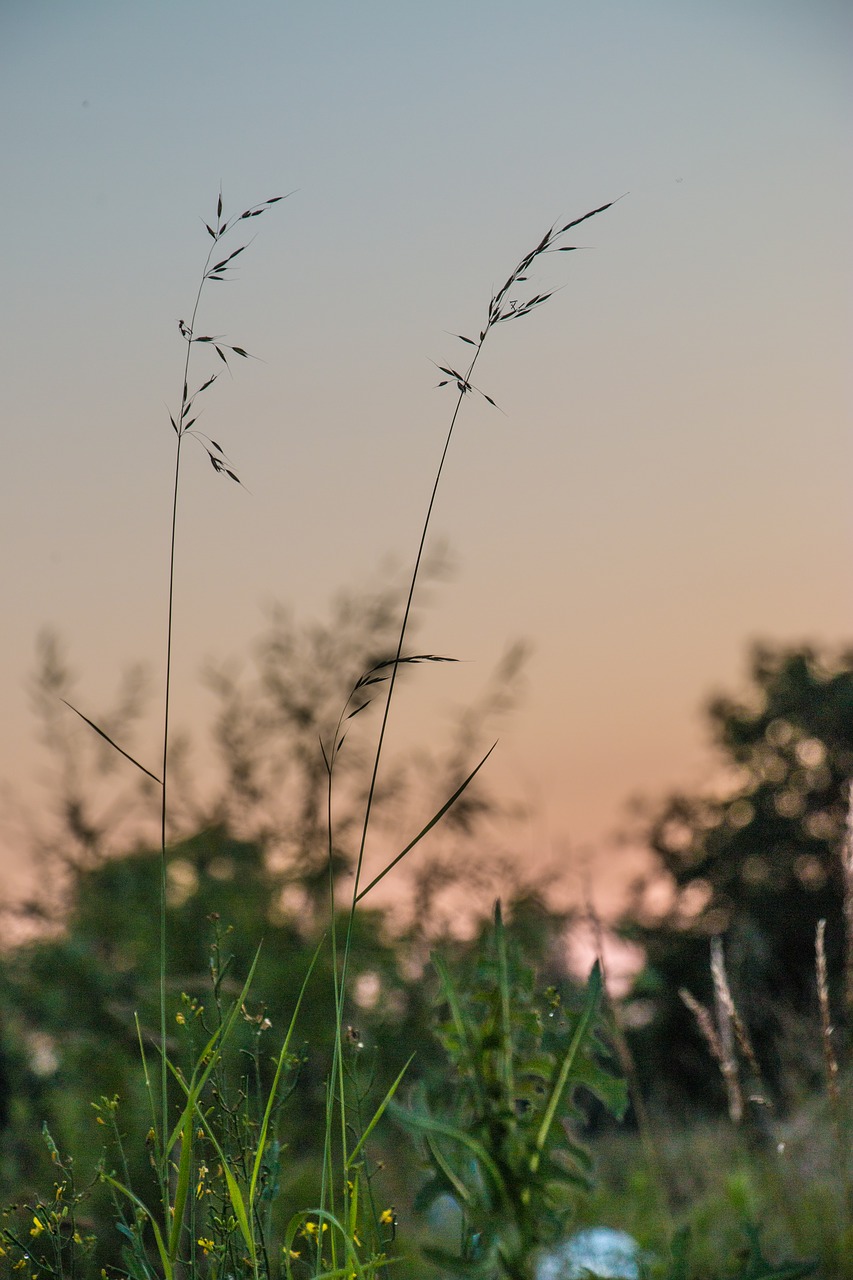 landscape sunrise sunset free photo