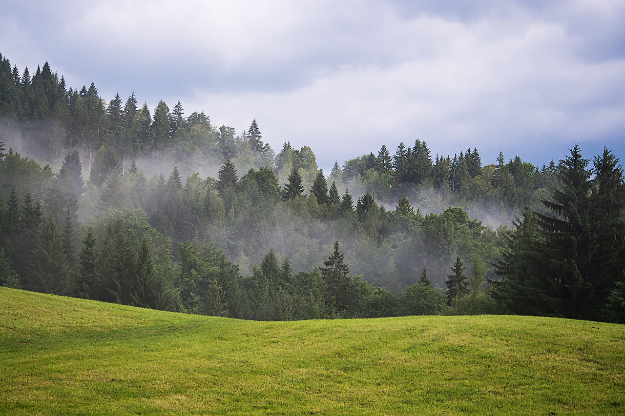 landscape nature meadow free photo