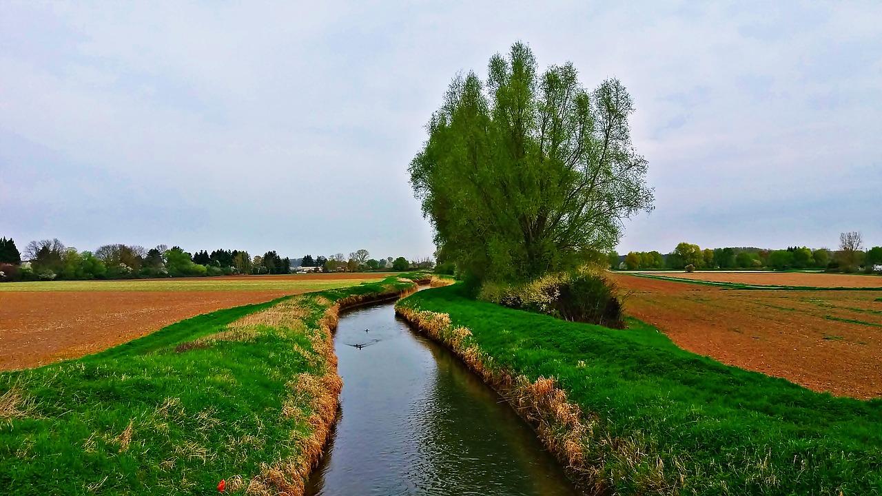 landscape field meadow free photo